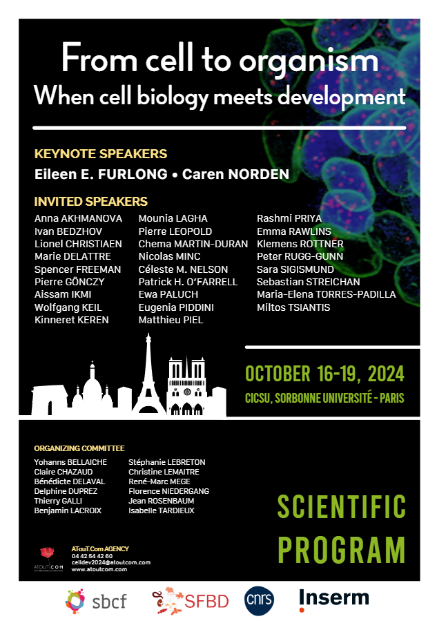 Join us this fall in Paris, October 16-19, 2024, for: “From Cells to Organism: When Cell Biology Meets Development” Co-organized by @SBCF1 @CNRS @Inserm. Great environment, and lineup of speakers. Early bird registration June 14th, 2024👇 atoutcom.com/cell-developme…