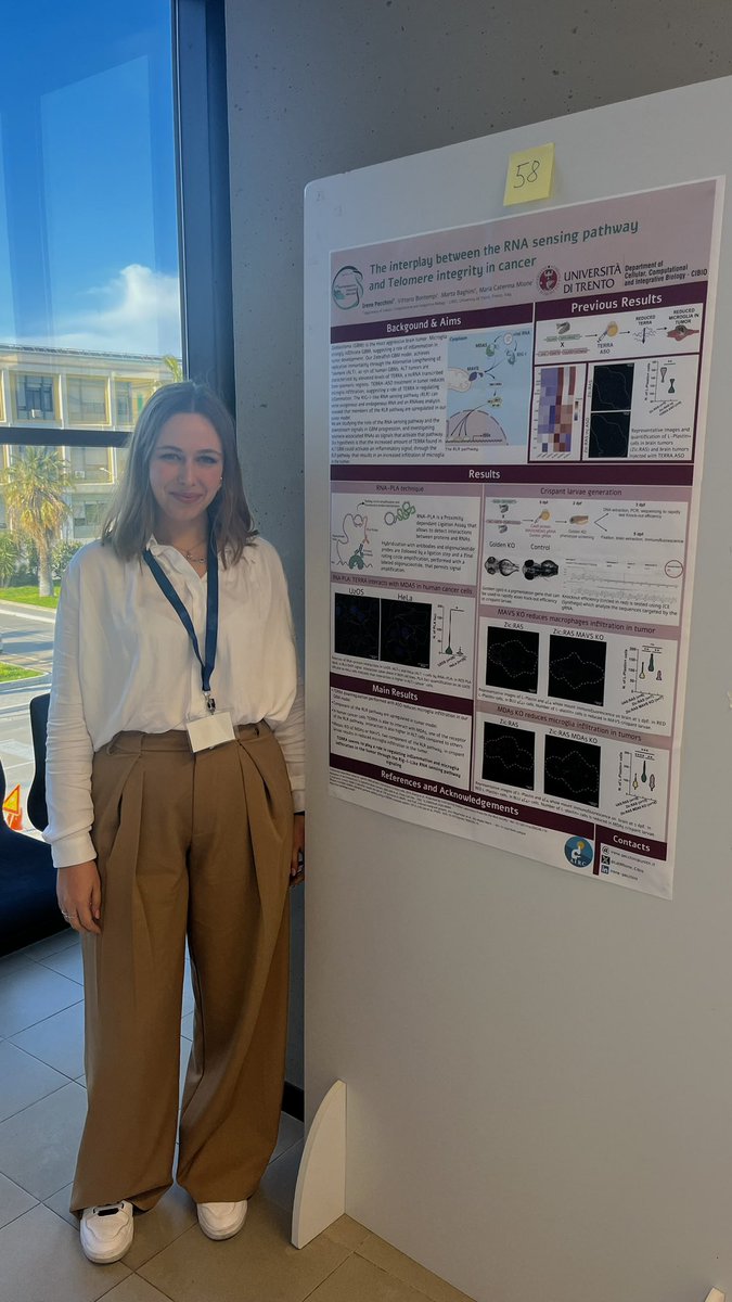 LabMione_Cibio's tweet photo. Yesterday also our @Fede84536953 and @IrenePecchini presented their poster and flash talk! The best way to conclude the second day of #ItalianZebrafishMeeting 🐟

#IZM2024 @FondGBernardini https://t.co/w9rnggCdJE