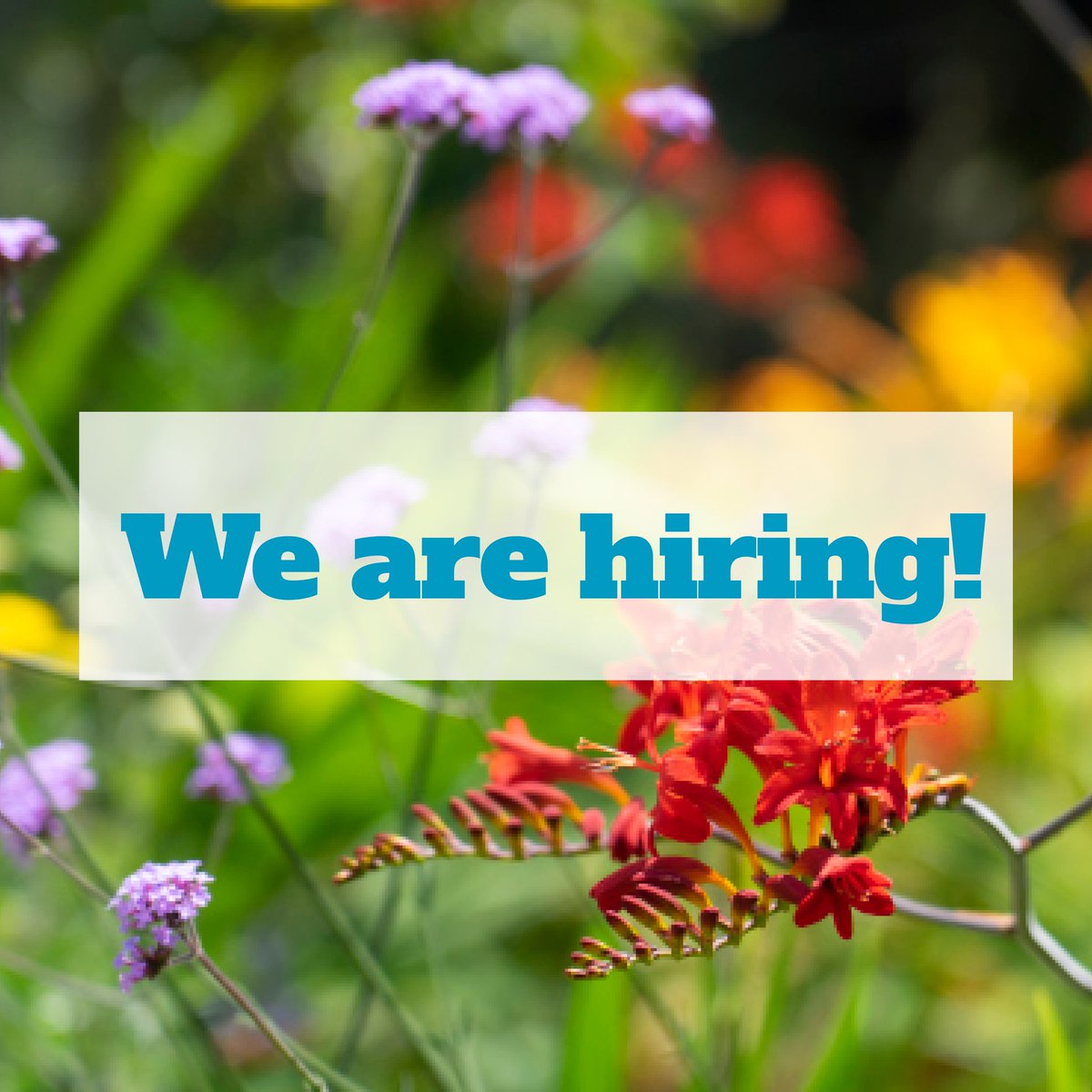 We're on the lookout for a Communications Manager to join our team - someone who’s passionate about making a difference to children, adults and their families in the local community. Could this be you? Find out more here: bit.ly/3OZi10X