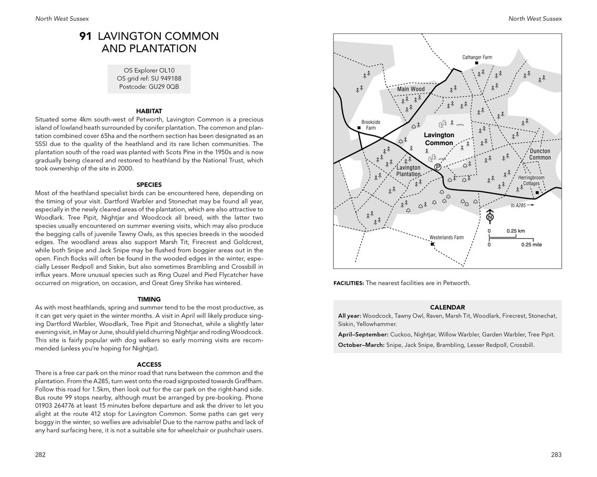 Out now: Where to Watch #Birds in Surrey & Sussex nhbs.com/where-to-watch… @chiffchat @BloomsburyBooks @_BTO @RSPBScience @Natures_Voice @BirdwatchExtra @BirdWatchingMag #birdwatching