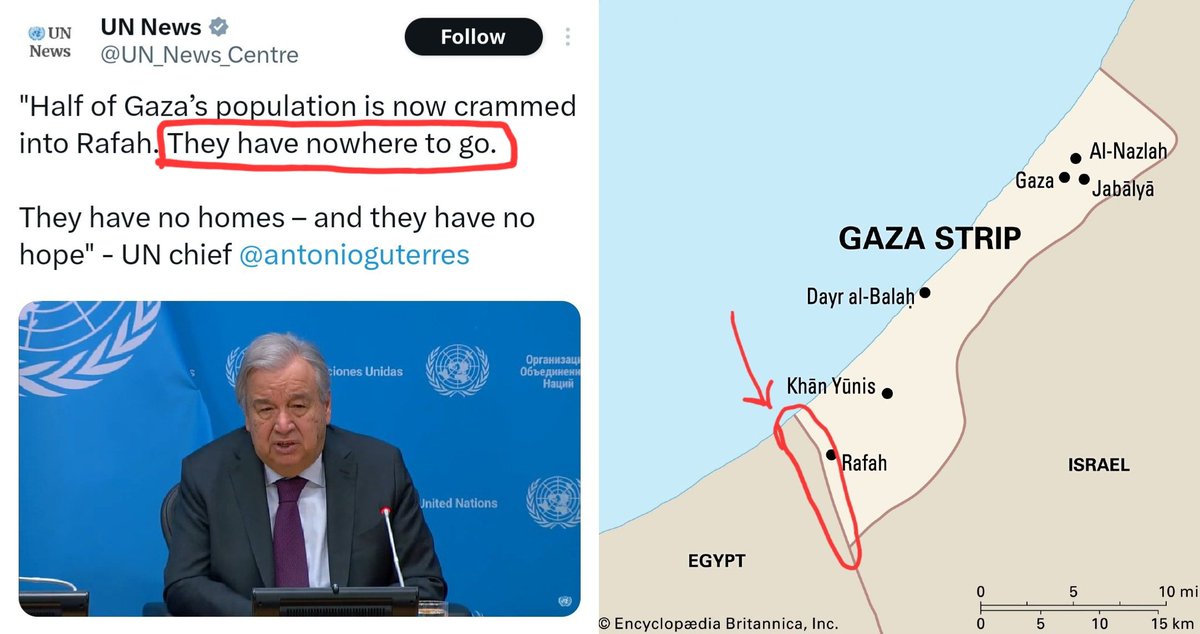 Dr. Eli David tweet media