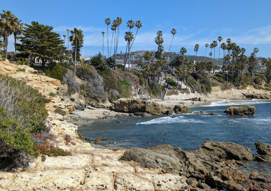 westerntours_fr's tweet photo. Sur notre route vers San Diego, arrêt à Heisler Park qui offre le spectacle splendide des falaises escarpées sur le Pacifique, et de jolis sentiers de randonnées
#roadtrip #circuitusa #autotour #heislerpark #westerntours https://t.co/qefQATmxr3