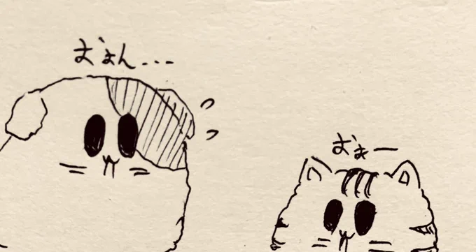 猫ミームの子みたいにお話しできないもちぷちさん🐈 