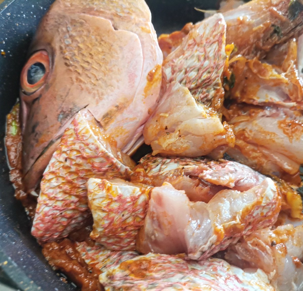 shaahid_96's tweet image. #raimas #ungoofaarufishclub 🐬
 @fishclub_MV 🐠  ☎️ 754-9696
  #visitungoofaaru 🎣 #fishing #holiday #fishclubmv