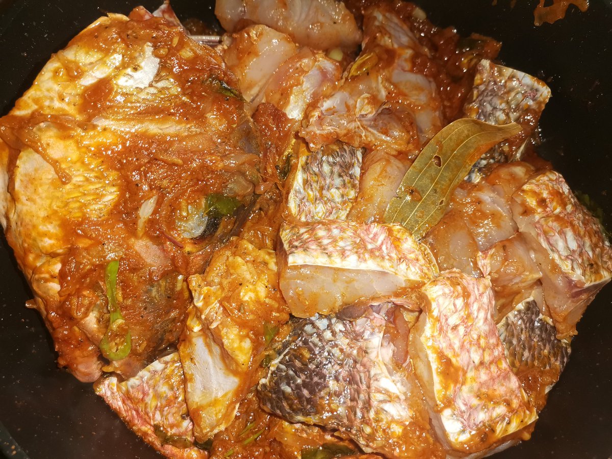 shaahid_96's tweet image. #raimas #ungoofaarufishclub 🐬
 @fishclub_MV 🐠  ☎️ 754-9696
  #visitungoofaaru 🎣 #fishing #holiday #fishclubmv