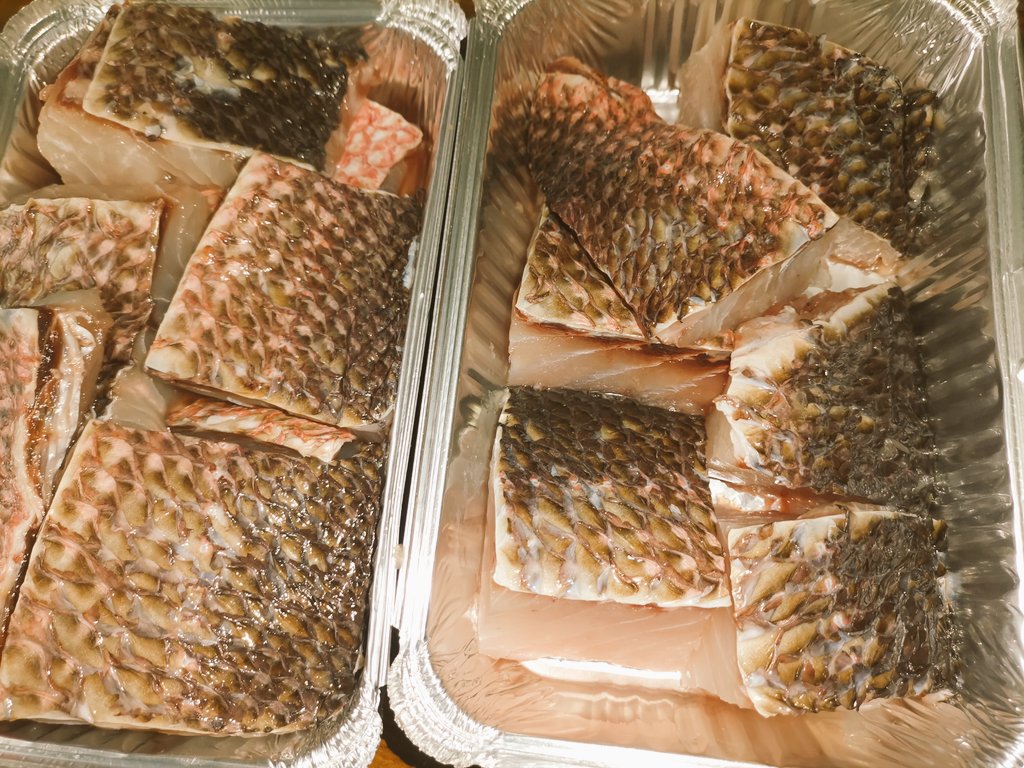 shaahid_96's tweet image. #raimas #ungoofaarufishclub 🐬
 @fishclub_MV 🐠  ☎️ 754-9696
  #visitungoofaaru 🎣 #fishing #holiday #fishclubmv