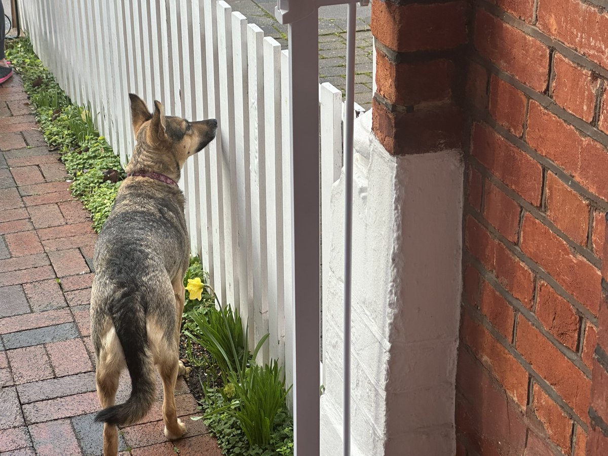 Rory Cellan-Jones tweet media