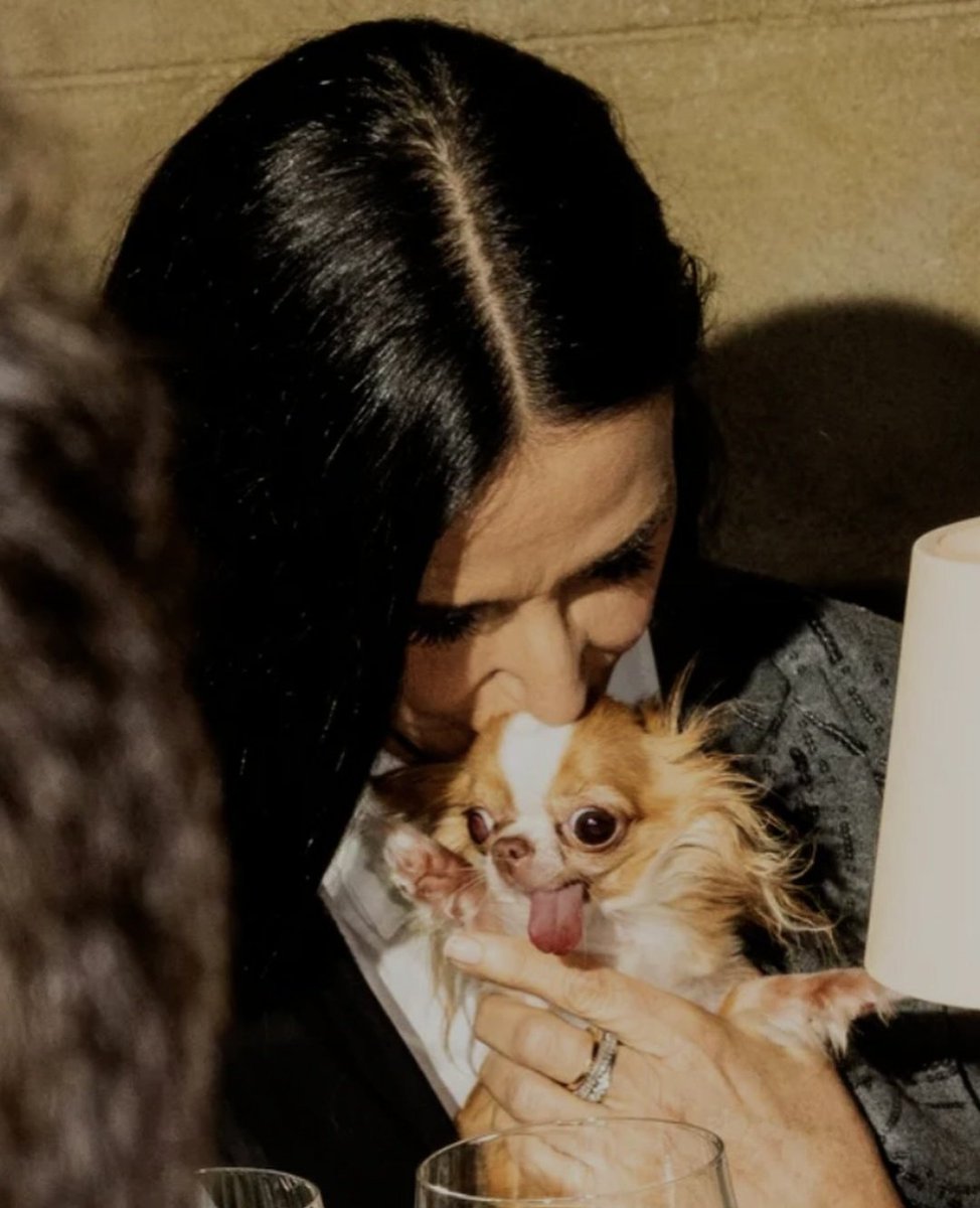 Councilman Kroketti | Weinschorle Connoisseur tweet media