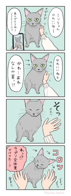 全体重で撫でられたい猫 