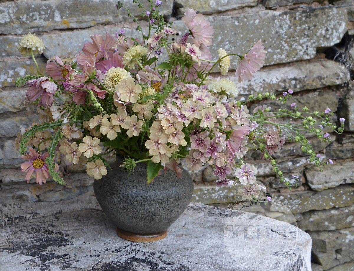 ShopSaedian's tweet photo. Happy Friday, just a gentle reminder if you’re looking for a gift  we sell flowers by post….just add soil and water. 🌱🌿💚

#Seeds #FlowersOnFriday #FlowersForVases #CutFlowerSeeds 

https://t.co/DEOr5HkZxj https://t.co/bt34DbGd33