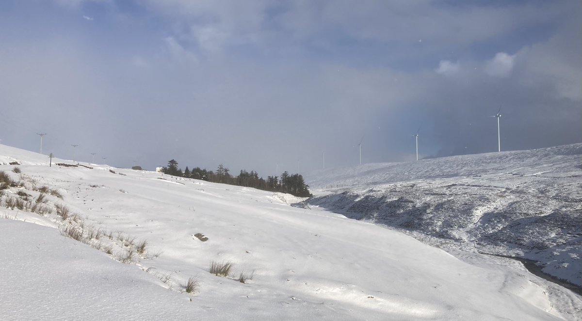 Beauty and the beast. Upper Kergord yesterday: note how the white turbines fade in the distance in these conditions. Some research has suggested that painting alternate blades black can reduce bird strikes, e.g. bbc.co.uk/news/science-e…