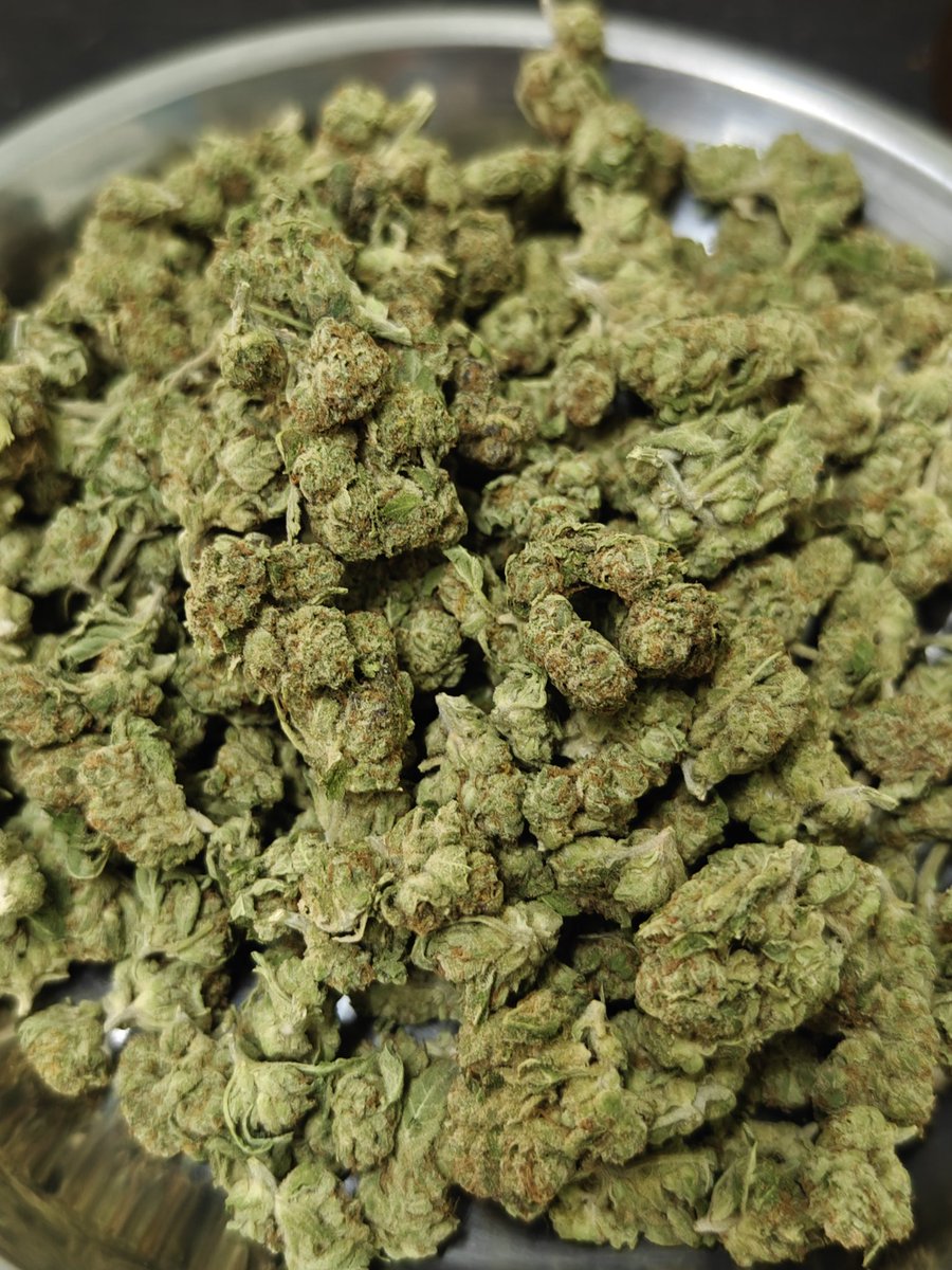 OrderHigh1's tweet image. G80🔥 deluxe sugar cane #กัญชาพระราม2 #กัญชาบางบอน #กัญชาเพชรเกษม #กัญชากรุงเทพ #กัญชาออแกนิค #กัญชาจรัญ #กัญชาบางแค #กัญชาดาวคนอง