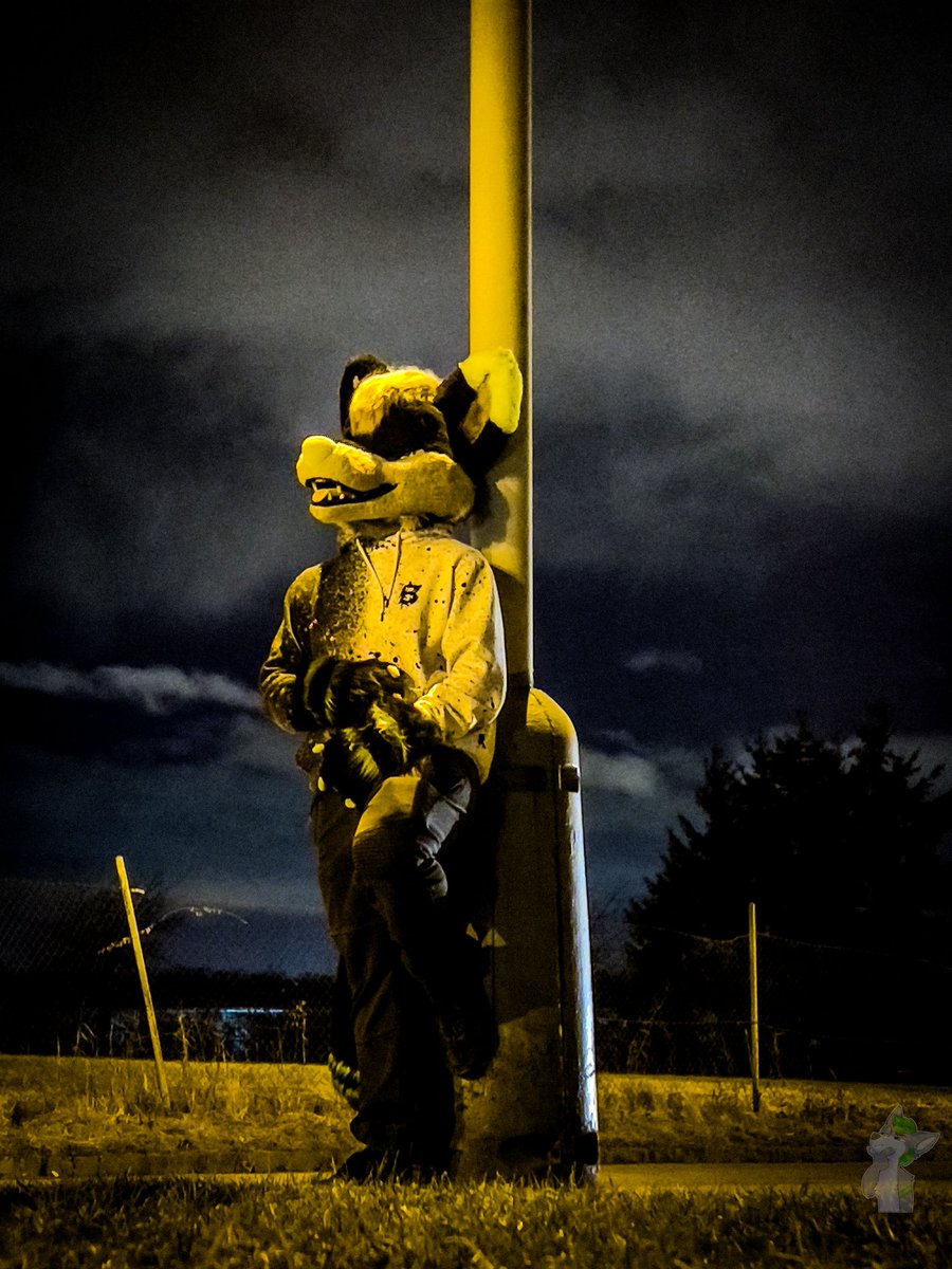 Happy #fursuitfriday do you like night adventures? 👀

Photo by: <a href="/FolfMatt/">matt_folf</a>

#furry #fursuit #fursuiter