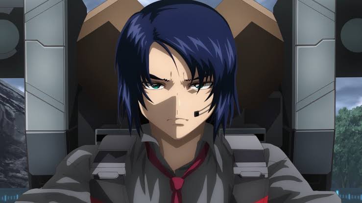 アスランが仏頂面でこんな事をされるの公式がアスランはもう自由に扱っ