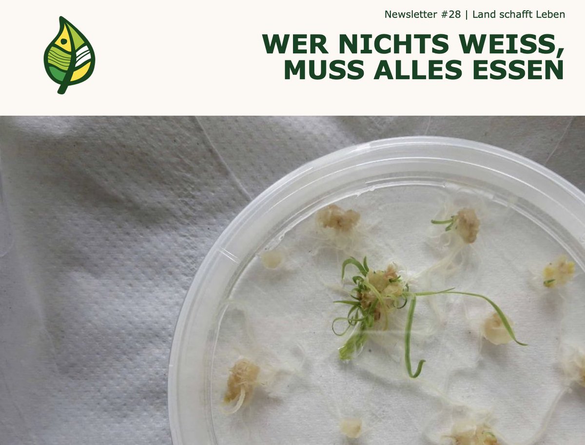TimoKuentzle's tweet photo. Was sind eigentlich Gene und Mutationen? Was macht die #Genschere und wozu braucht es überhaupt noch Pflanzenzüchtung? Im aktuellen @LsL_Austria-Newsletter haben wir die wichtigsten Infos zur aktuellen #Gentechnik-Diskussion in 3 Min. gepackt. #NGT1
➡️https://t.co/yKbV4s81Fs https://t.co/blzPB9VyG5