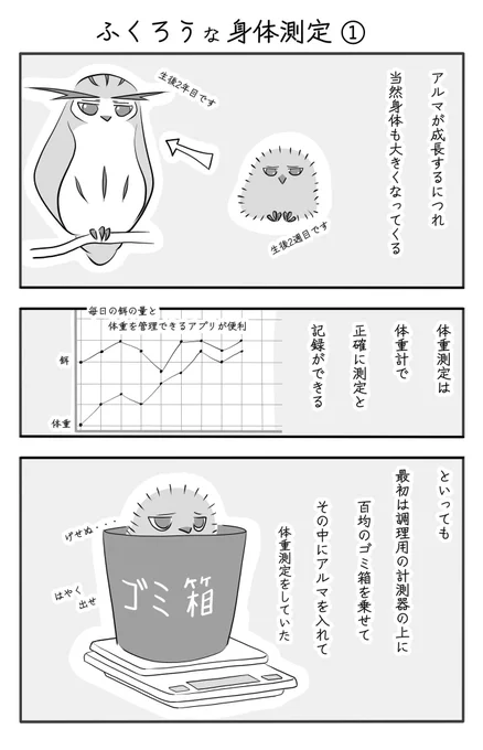 『ふくろうな身体測定』(1/3)
#ふくろうな関係
#漫画が読めるハッシュタグ 