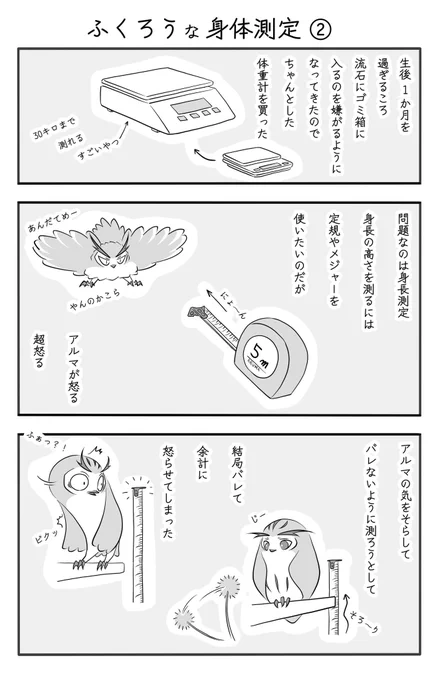 『ふくろうな身体測定』(2/3)
#ふくろうな関係
#漫画が読めるハッシュタグ 