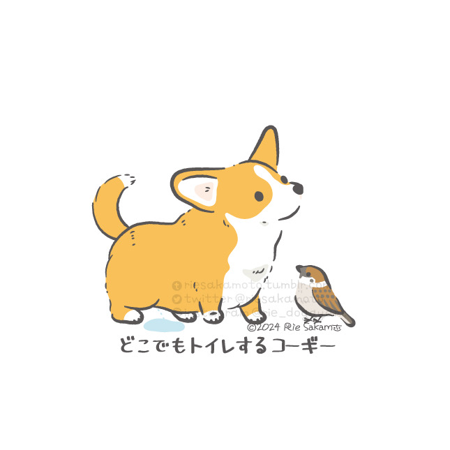 「犬 柴犬」のTwitter画像/イラスト(新着)｜4ページ目