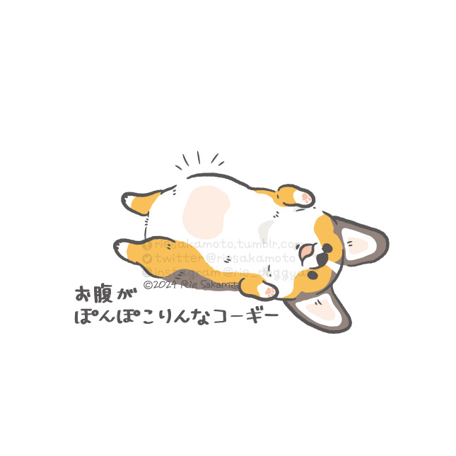 パピーのときのコーギーあるある/お腹がぽんぽこりんなコーギー(7/9) 
