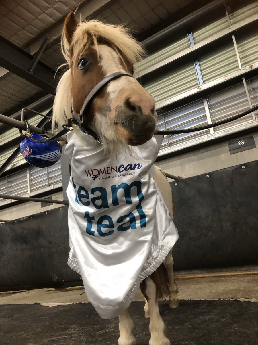 French Fry is supporting Team Teal, hope you are? #getrealsupportteal👗💪🏻