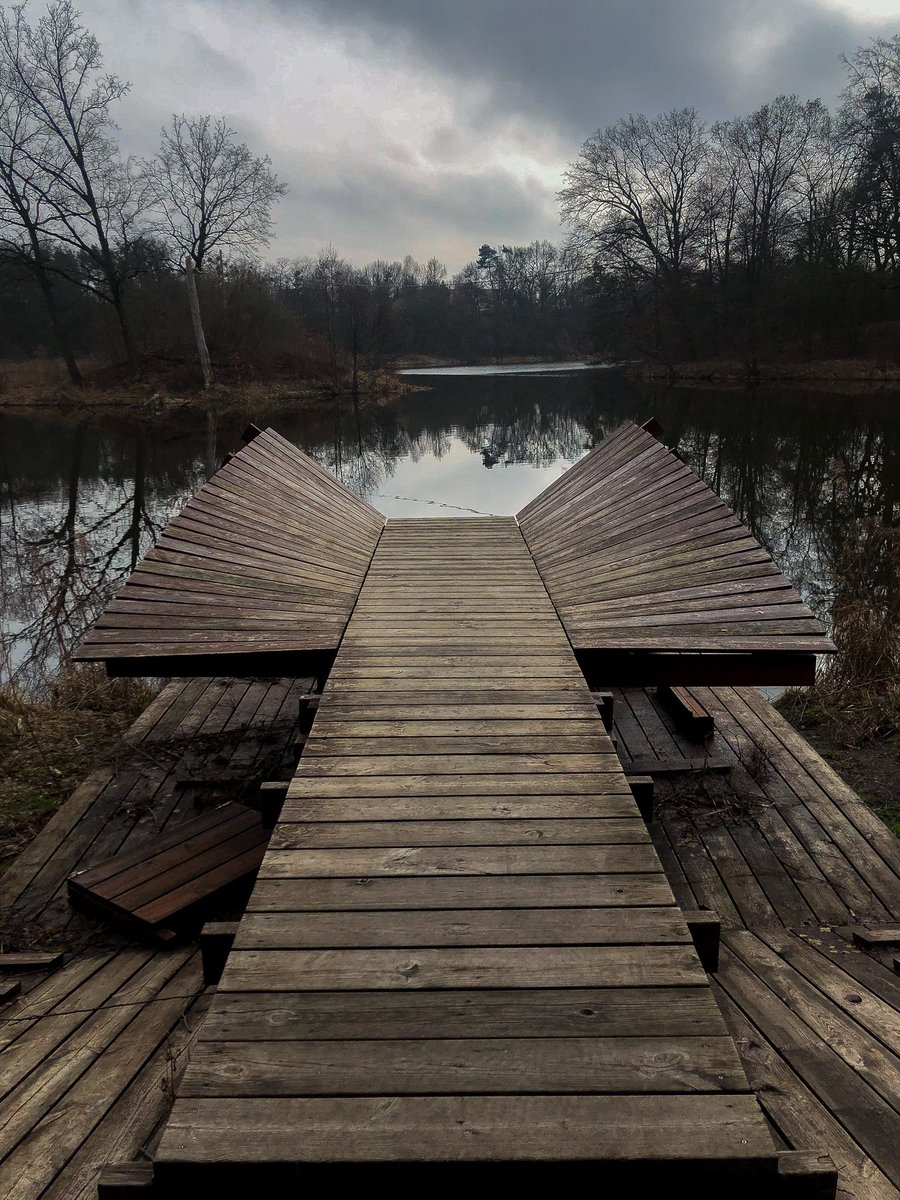 _SilnyA's tweet image. Dzień dobry piątku, odrywając się od protestu rolników i spraw politycznych. Spacer wokół stawu. Ciekawe miejsce od obserwacji ptaków. 
#obserwacjaptakow #staw #poland #birdwatching