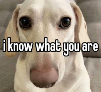 RobinFatty's tweet photo. @orbyssey https://t.co/uO0P4iwytI