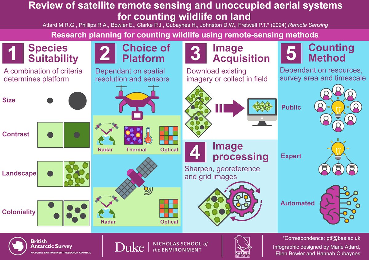 Interested in using #satellites and #drones to count wildlife on land, but don't know how to get started? Read our review published in Remote Sensing <a href="/MDPIOpenAccess/">MDPI</a> to find out what is involved! 
                            🛰️🫎🐢🐳🦭🐧🐨🛰️

Link here: mdpi.com/2671014