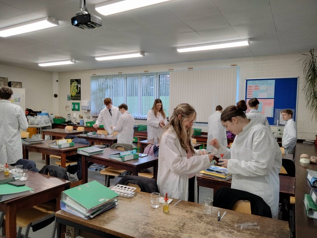 Sedbergh_STEM's tweet image. Yr12 using a model gut to assess the rate of diffusion by continuous sampling 🌡️🧪#AQA