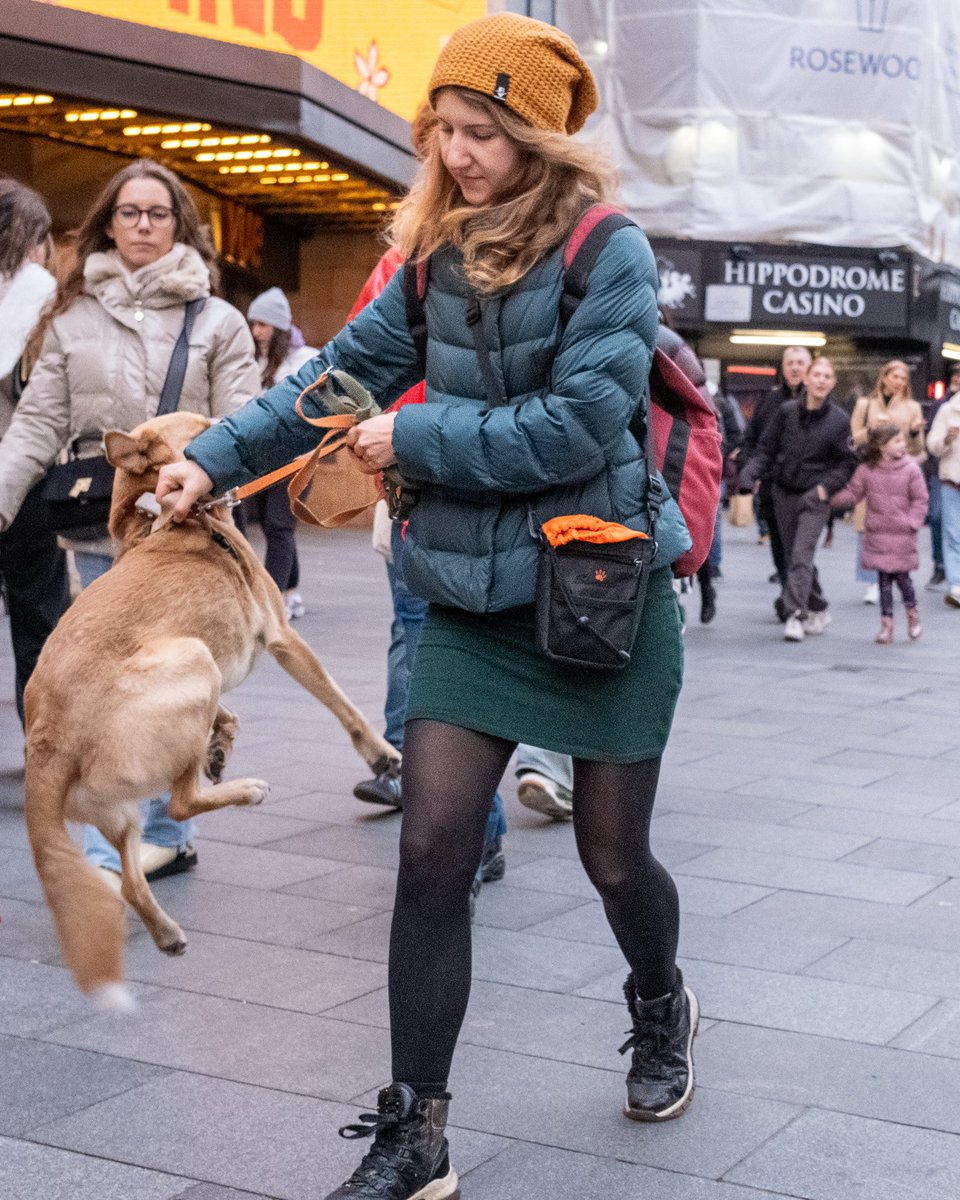 zummerzett's tweet photo. This dog was jumping about the lady was NOT strangling it. #otherpeoplesdogs #dogsinthecity #streetphotography #london #dog https://t.co/sUEozZjxyn