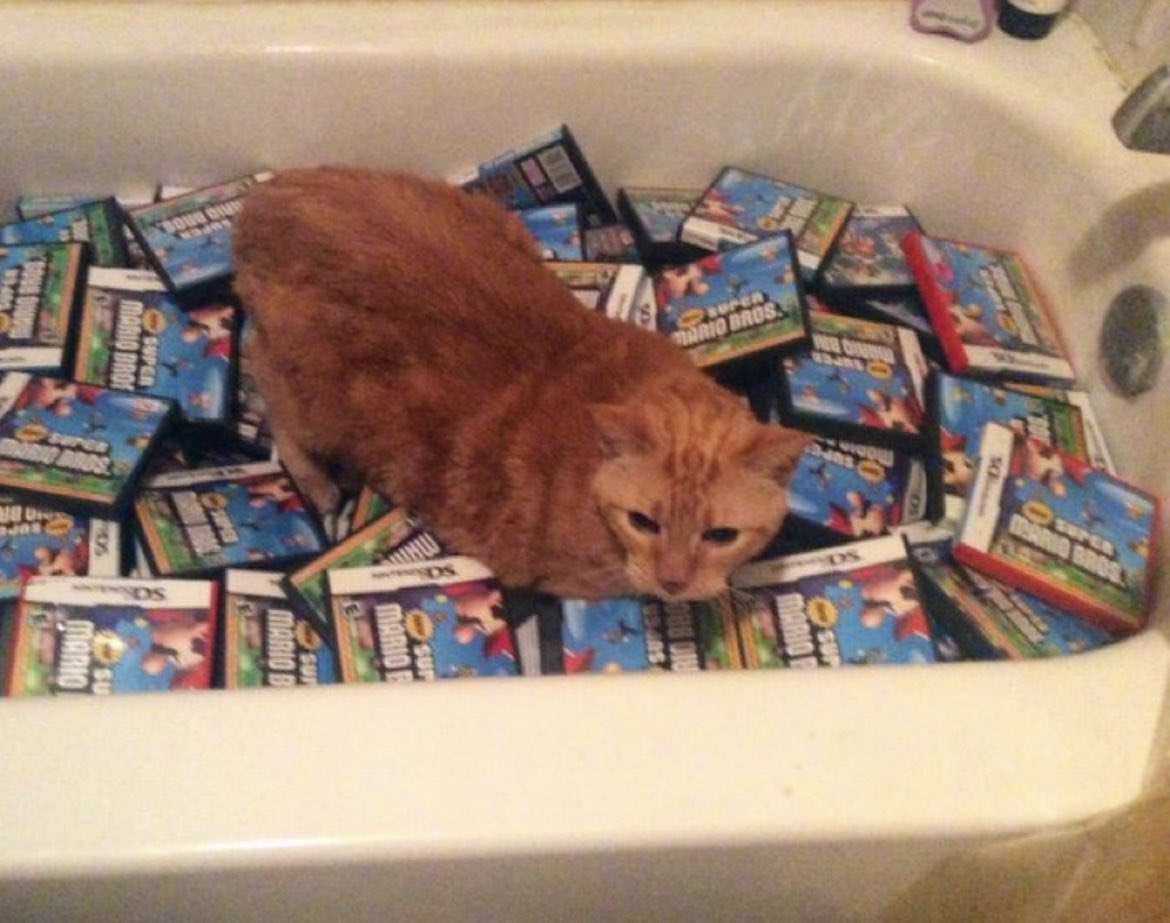 canned lmao (Ourple Guy WTV-Mix) tweet media