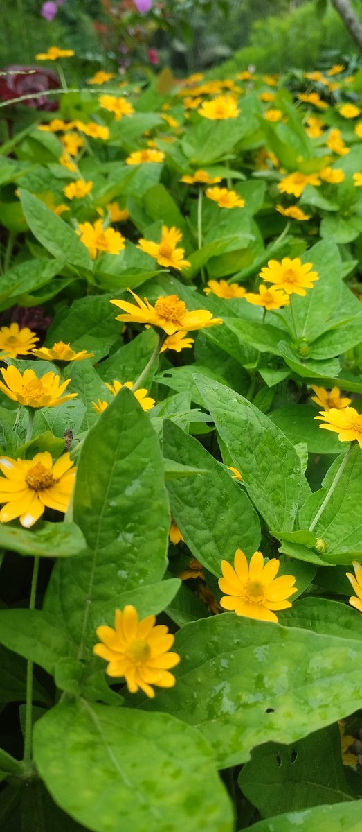 dauz qr (@dauzwae) on Twitter photo 