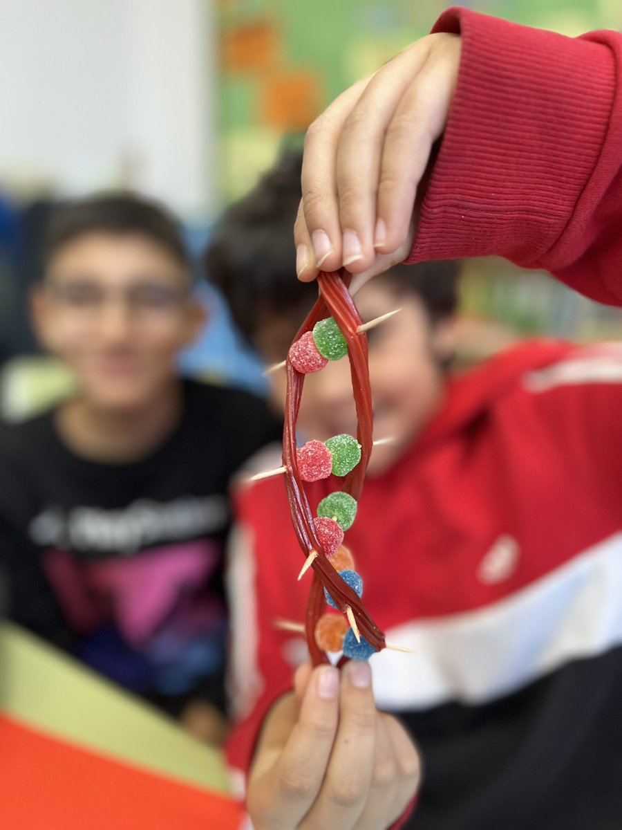 Desde 1º hasta 6°, niñas y niños del @CeipMenendezyP han hecho sus propias moléculas de ADN y ¡les han quedado como la foto 51 de Rosalind Franklin! 😍 #11F2024 #somosUPM