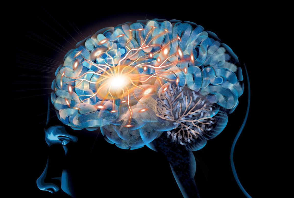 Friendly reminder, para mí el primero:
Los <a href="/urgenciologos/">Urgenciólogos CV</a> #Urgencias somos eminentemente clínicos. #POCUS es una herramienta más de la exploración clínica de gran valor, que hay que poner en el contexto clínico
Este software es el más importante y no viene de serie en el ecografo