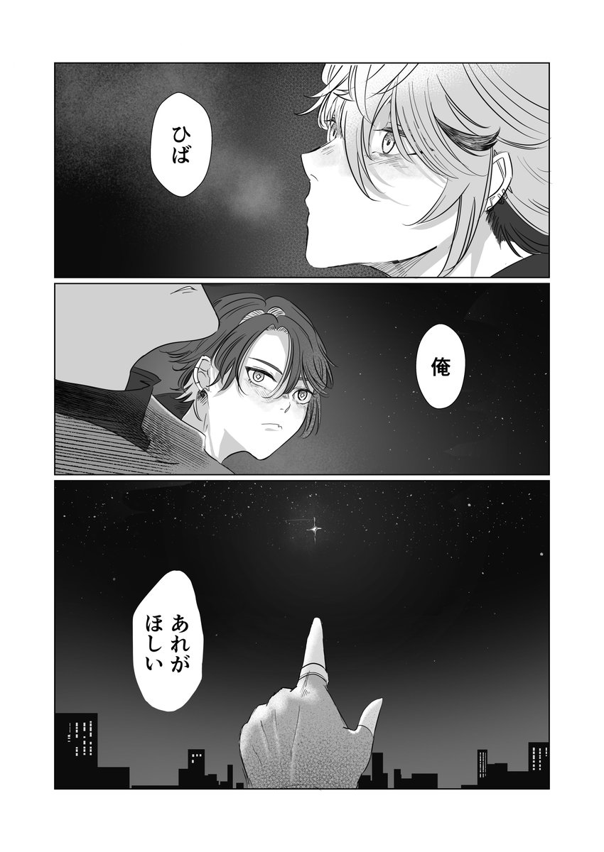 夜空の下の鳥会話(1/2)
※二次創作 