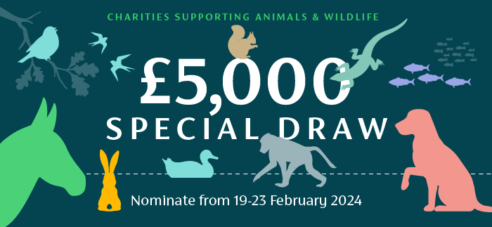 A date for your diaries! For all you animal lovers, our first special draw of 2024 starts on the 19th of February and will be dedicated to charities, not-for-profit organisations, and community groups whose primary focus is animals!