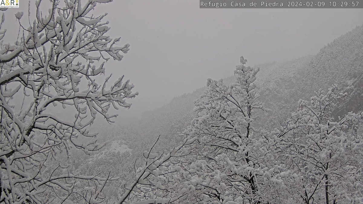 AEMET_Aragon's tweet photo. Refugios de #Bachimaña (2200 m) y #Casadepiedra (1636 m) a las 10:30 HL de hoy 09/02/24 ❄️❄️❄️La #cotadenieve está bajando. Actualiza +INFO https://t.co/tpM6XKcuuB
@internetfam @montana_segura @CyNPirineos @eltiempo_atv @AragonMeteo @AEMET_Esp https://t.co/LMyM1Uc0iV