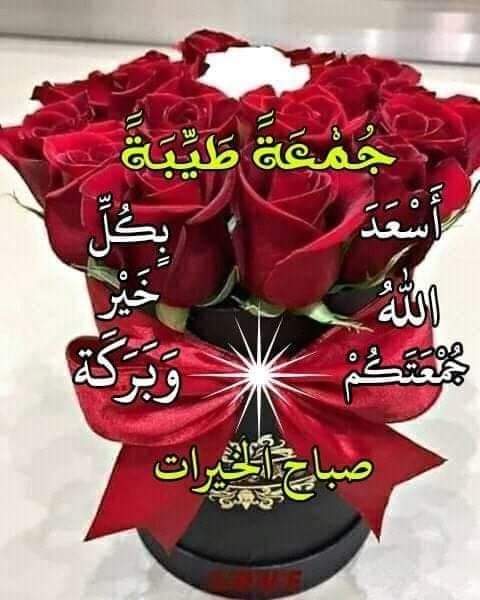 علي.العالي💎 tweet media