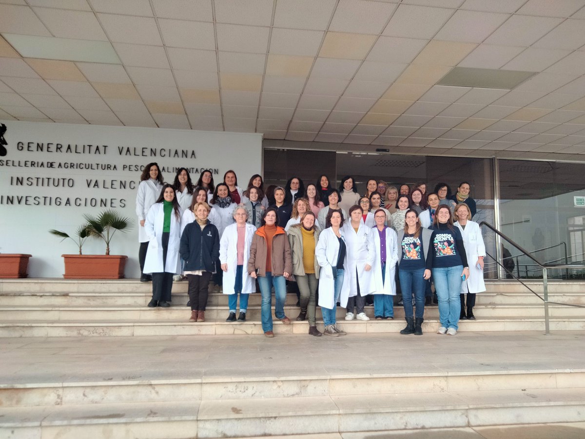 GVAivia's tweet photo. 📢📆11 de febrero, Dia de la Mujer y la Niña en la Ciencia👩‍🔬. 87 Doctoras y tituladas superiores 🧑‍🎓y 61 mujeres con otras titulaciones👩‍💼 dedicadas a crear Ciencia🧪 en favor de la Agricultura y la Sociedad Valenciana en @GVAivia. https://t.co/iwvYdTwJbu