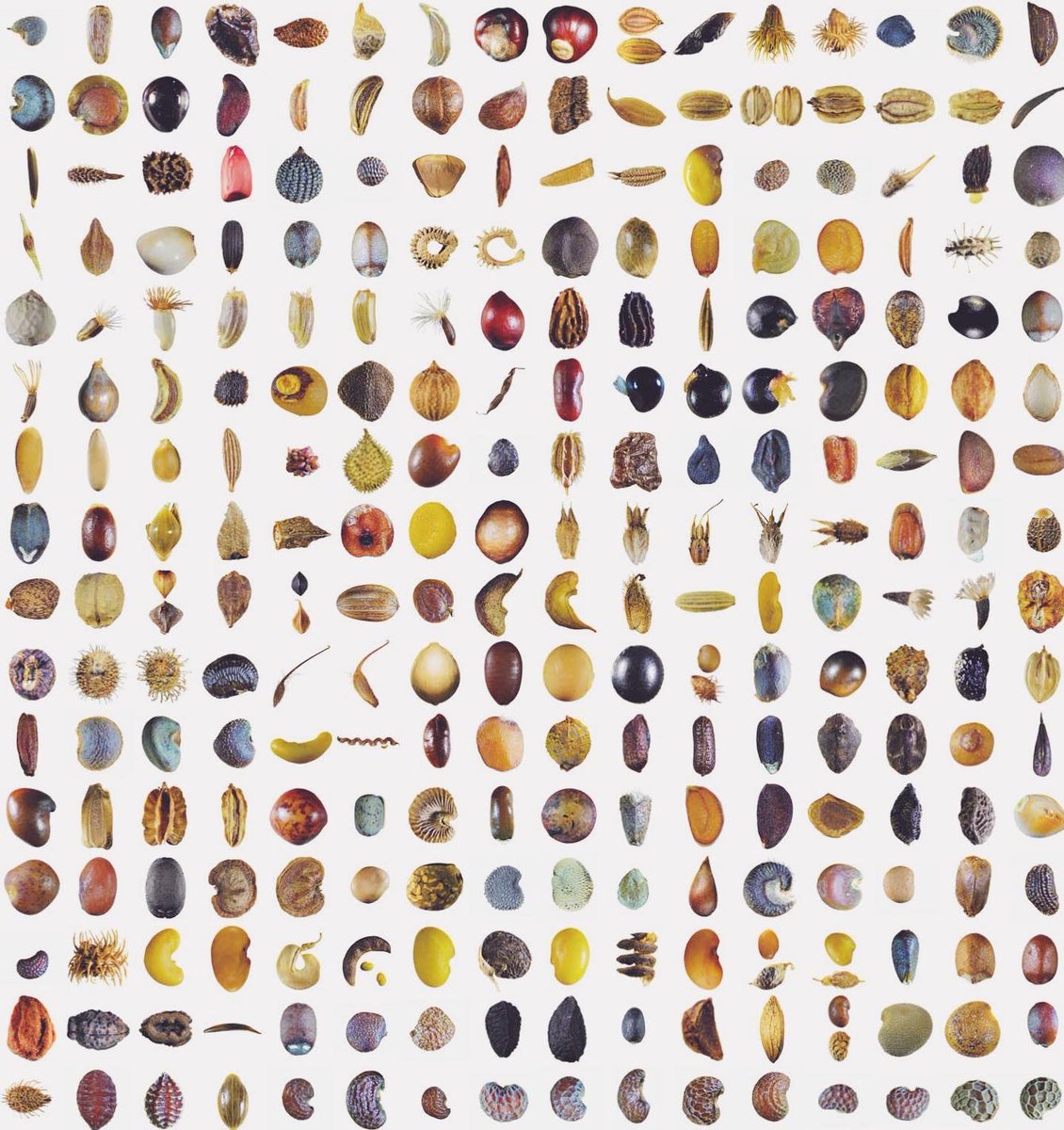 Jonas Frei tweet media