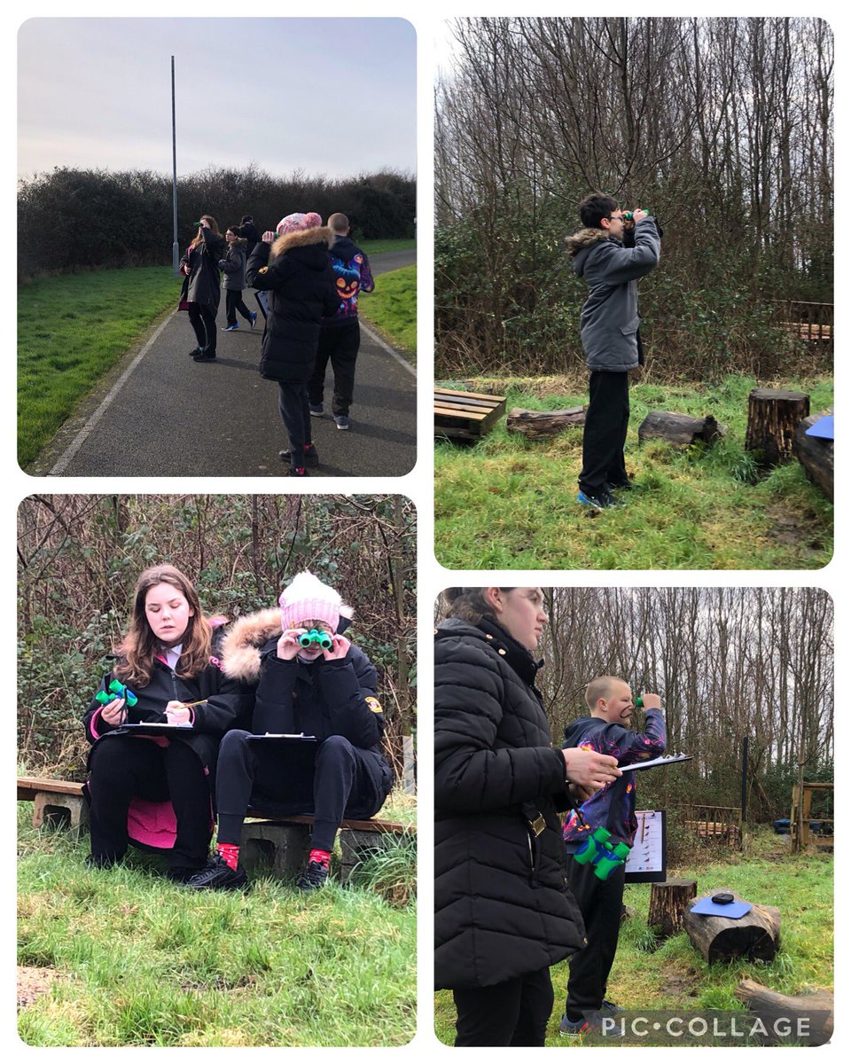 TirMorfa's tweet photo. Dosbarth Llandegla have been bird watching this week. Looking what birds we have around our school and making a tally of our findings #ytmllandegla #ytmnum #ytmstech #ytmacl @RSPBCymru #biggardenbirdwatch https://t.co/Z9S3Sjtcpn