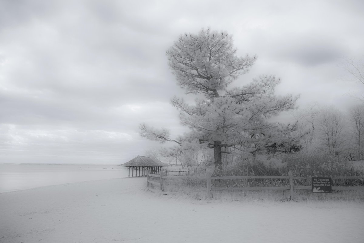 mchughpmtlib's tweet image. #artshowofthemonth #photox3 #mchughpiermontlibrary #piermontny