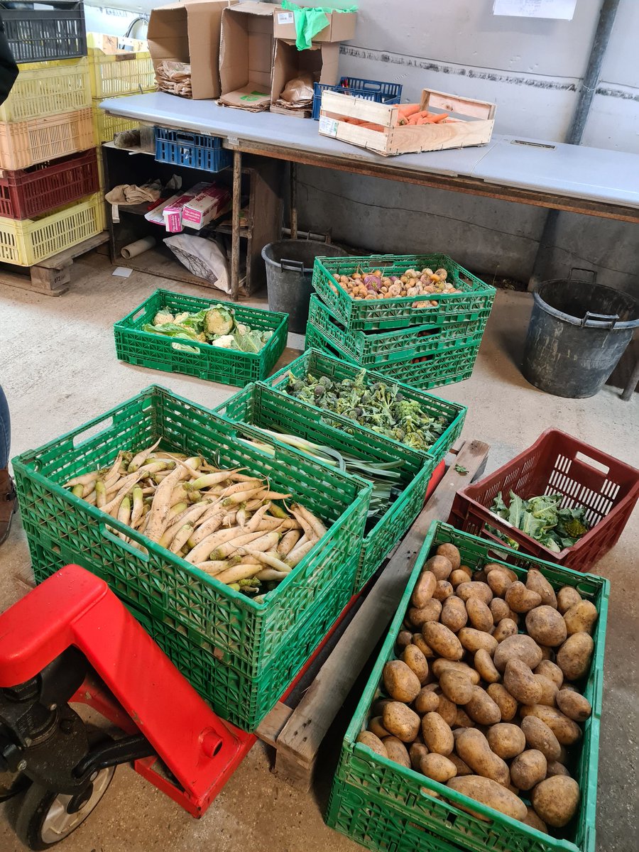 Visite ce jour de l'atelier d'insertion Le Terreau à  Cruas(07), en présence de Me. Elizeon , #Prefet07, et de M.Solignac, député de Privas. Centrée sur des activités de maraîchage,cette structure, assure 60% de retours à l'emploi pour 24 Etp,mais aussi 900 paniers solidaires.