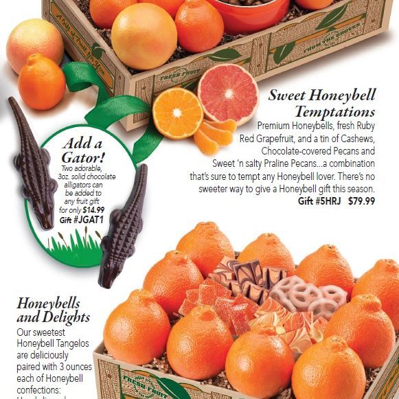 HyattFruitCo's tweet photo. Check out our super-cute chocolate gator citrus add-on. Our Florida Gator Chocolates are available as an add-on to any one of our fruit gifts. One set contains Two 3 oz. solid chocolate fudge alligators. Add to any fruit gift at https://t.co/UTRHO8vqc3 https://t.co/xzgDjAKvWi