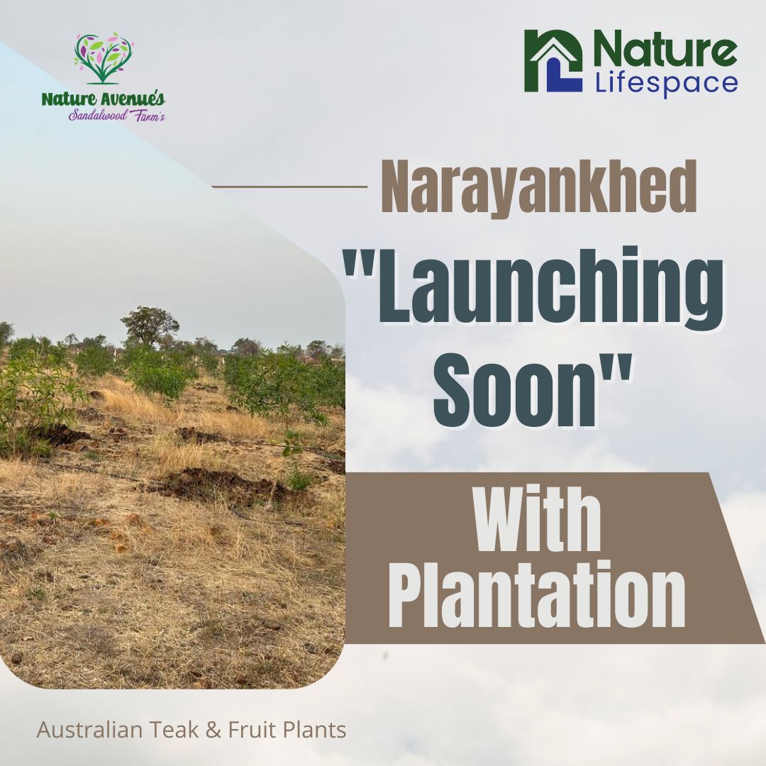 NatureLifespace's tweet image. Exciting news! 🎉 Get ready for the launch of Nature Avenues Phase-II in Utpalle! With all works &amp;amp; developments completed, don&apos;t miss out on the pre-launch offer. Call now at +919493765454. #NatureAvenuesPhaseII #PreLaunchOffer