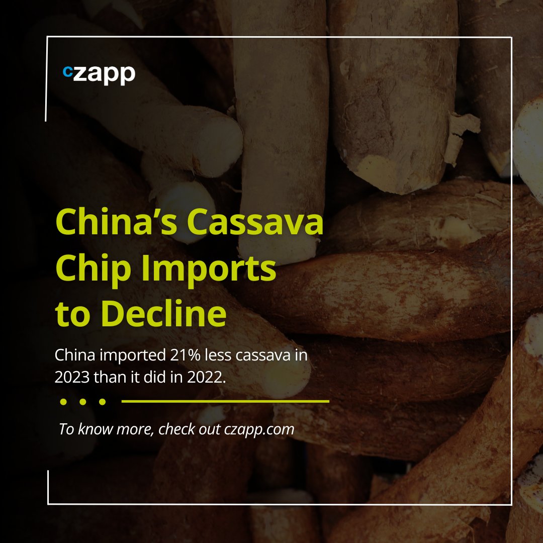 Discover the implications of China's 21% decline in cassava chip imports in 2023. How will this affect the sugar and ethanol industries? Read more and be prepared for changes in the market: ow.ly/9G2350QzE3C #cassavachips #China #industry