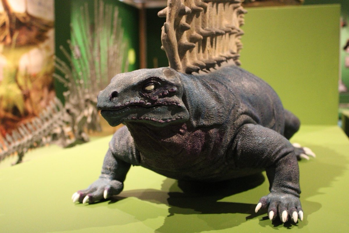 Long before the Neanderthals or even the dinosaurs… monsters roamed the Earth! See them for yourself in ‘Carboniferous Monsters’. We will be open Tuesday 13 Feb as an extra day for the half-term school holidays. Tickets – Adults £6, Children £3, Concessions £3, under 5’s free