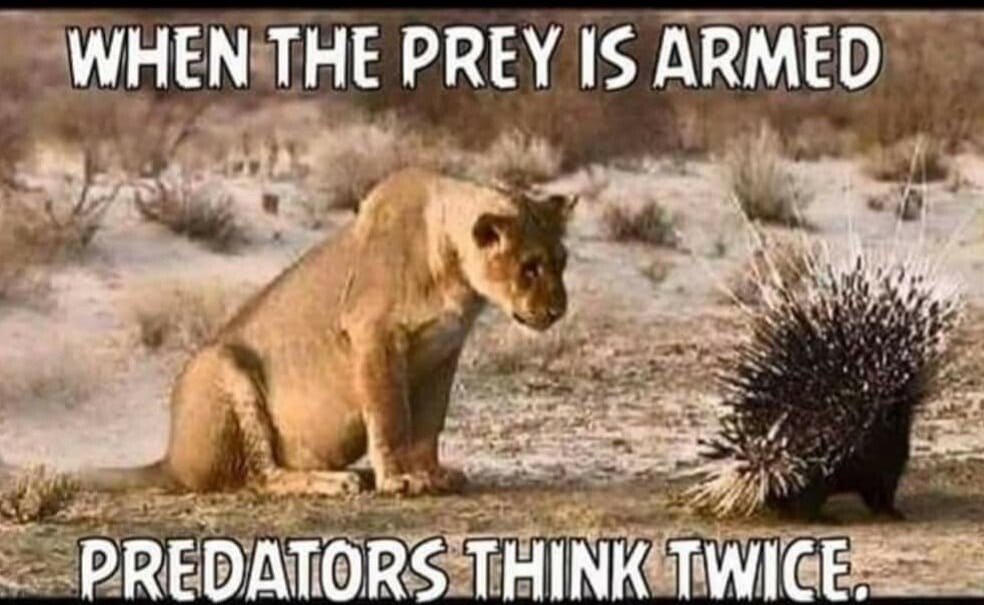 Stelios_1776's tweet image. #MAGAWINS2024 🍊🇺🇸

#Pro2A 🇺🇸