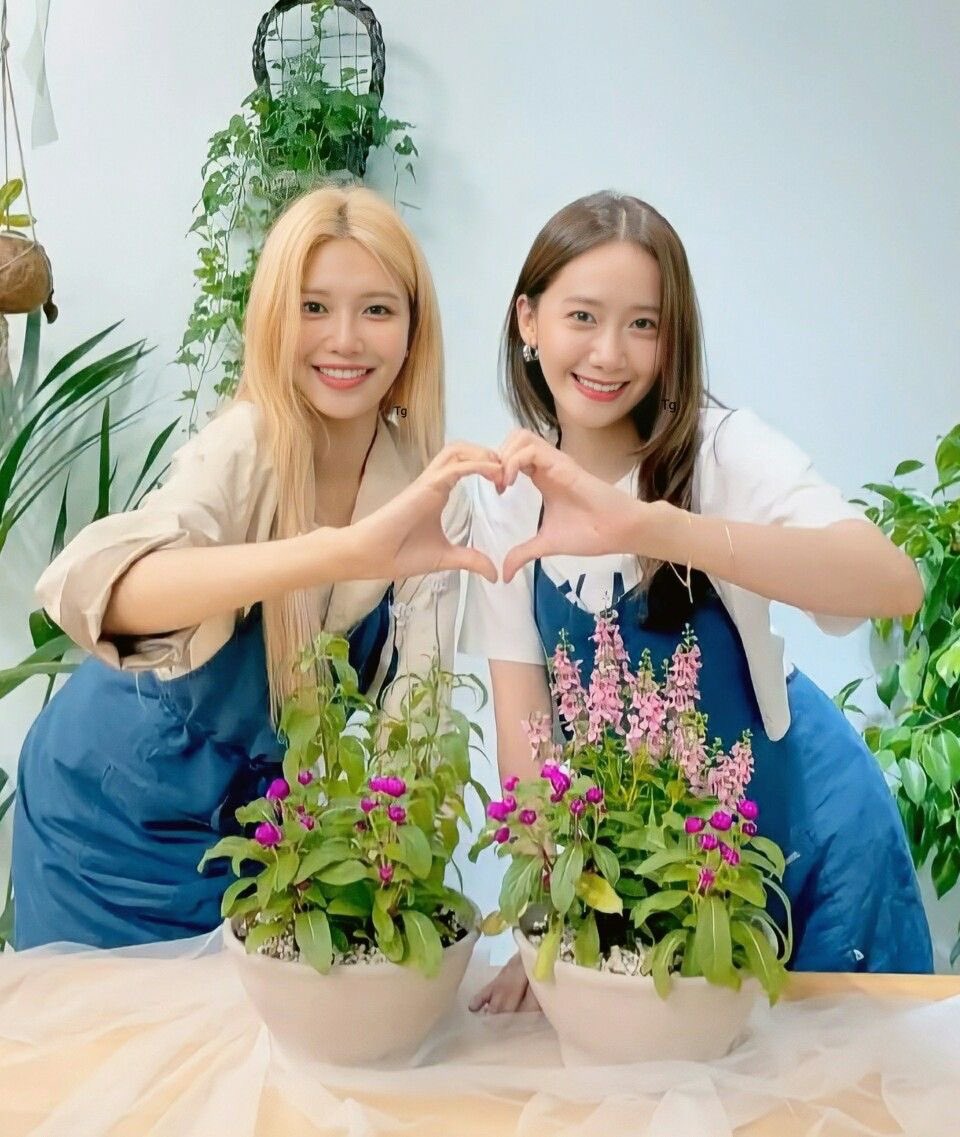 수영이 생일축하해 🩷💜🎉😘

#오늘은_수영이_벌스데이지
#HappyBirthdaySooyoung