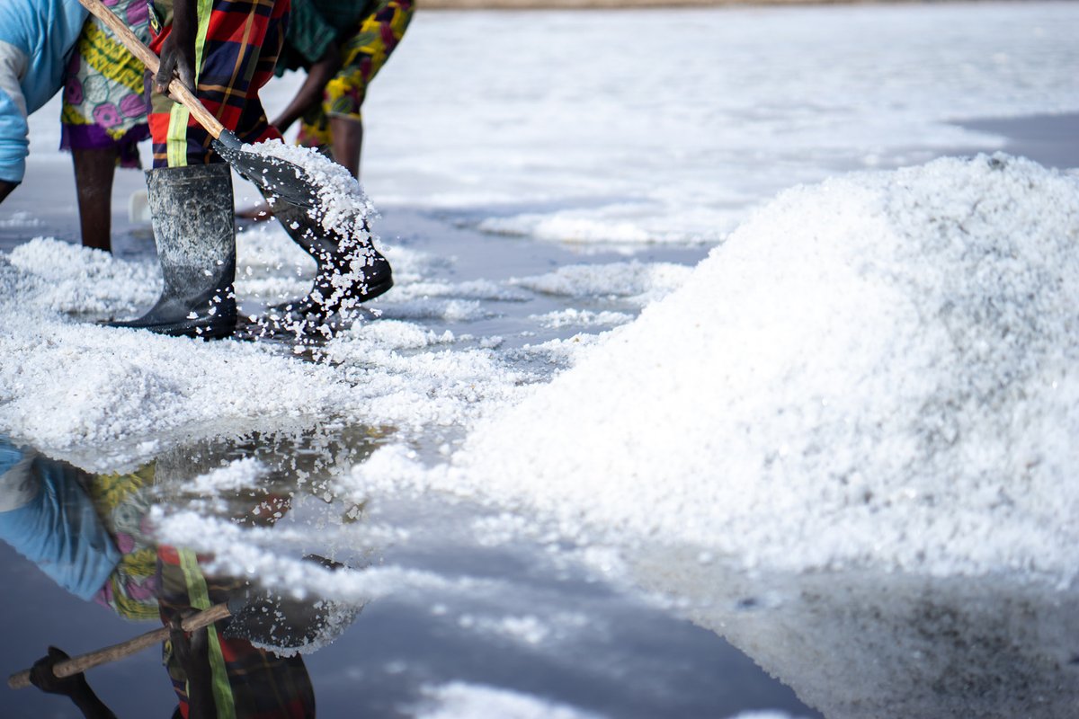 NutritionIntl's tweet photo. #DYK #Iodine consumption is critical for pregnant women and children to ensure full brain development. @NutritionIntl works with salt producers around the world to expand and speed up the adoption of #UniversalSaltIodization. #IDW2024
https://t.co/iMqtzwz9r9 https://t.co/4O53Qh2d5U