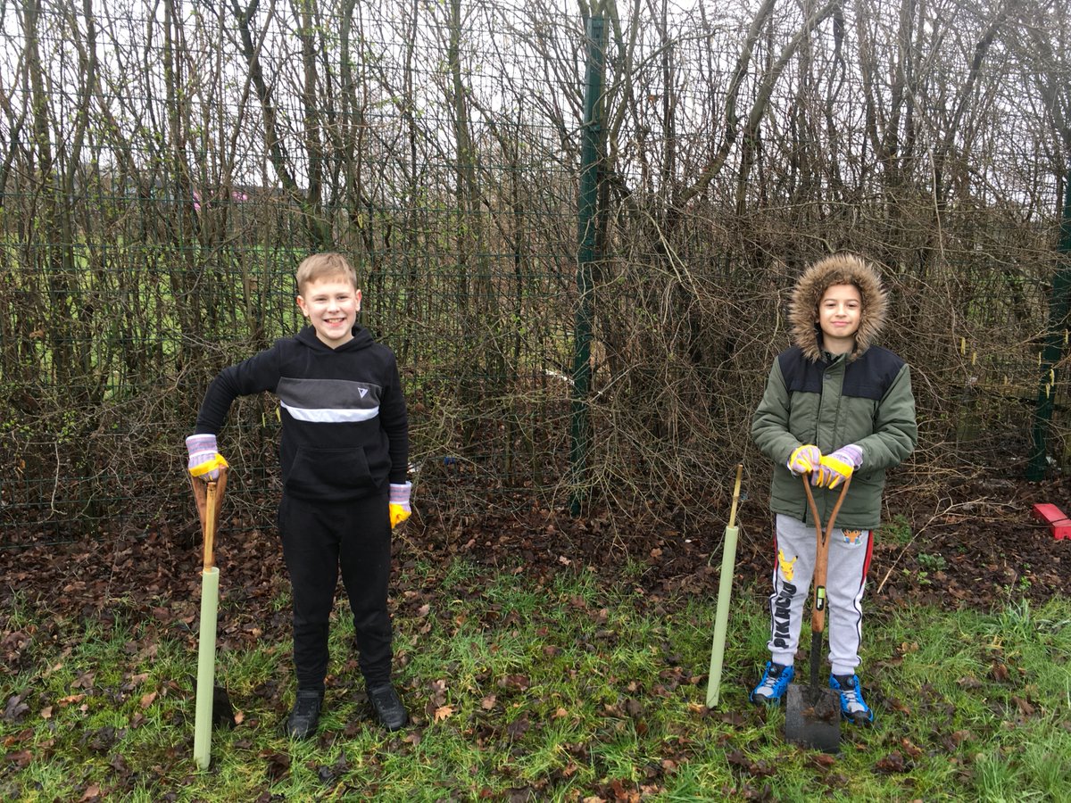 NCPS_Year6's tweet photo. Year 6 loved planting the saplings and shrubs around the school field. we can't wait to see these plants grow and change our landscape! 🌿🌿🌿🌿 https://t.co/Mmd8gom7hV